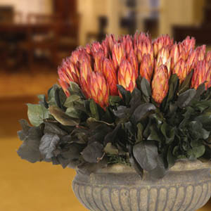 Lux-Art Silks - Highlands Design Resource